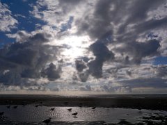 Gulls & clouds (Blackpool)