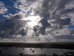 Gulls & clouds (Blackpool)
