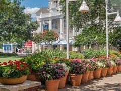 Boardwalk Hotel gardens